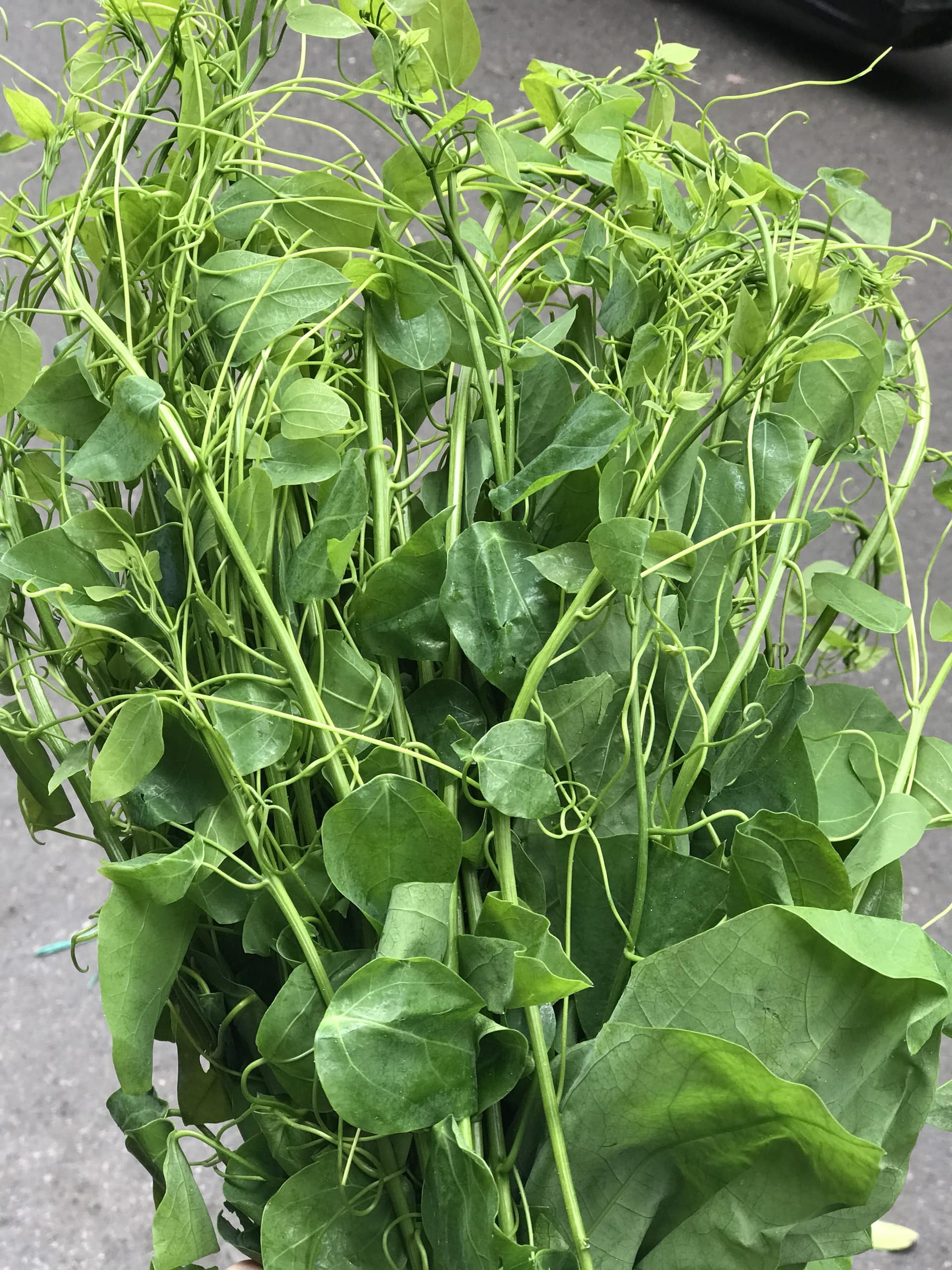 Rau bò khai là gì?