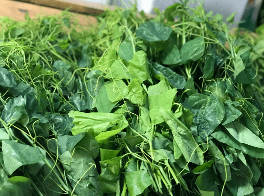 Rau bò khai tươi sạch